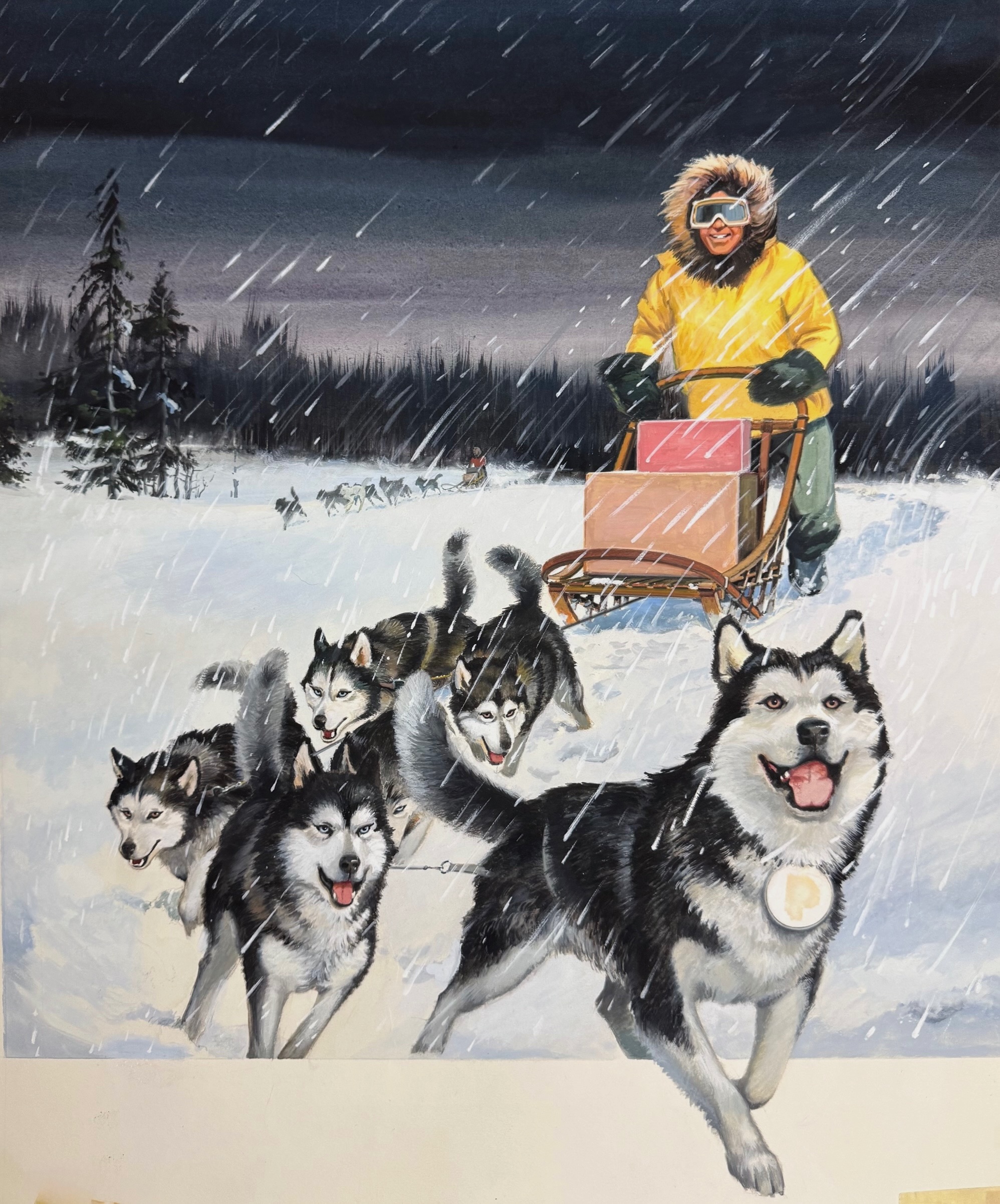 Alaskan Iditarod Race Illustration